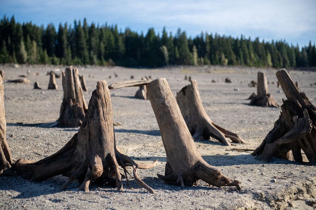 Ephrata, WA Passport Guide: First-Time, Renewals, Facilities