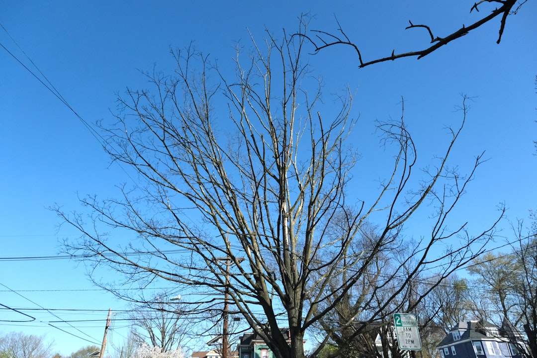 Fair Haven NJ Passport Guide: Steps, Documents & Locations