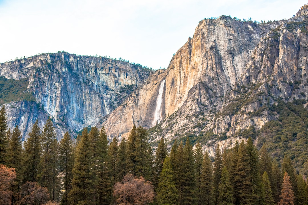 Fairfield, CA Passport Guide: Apply, Renew, Facilities