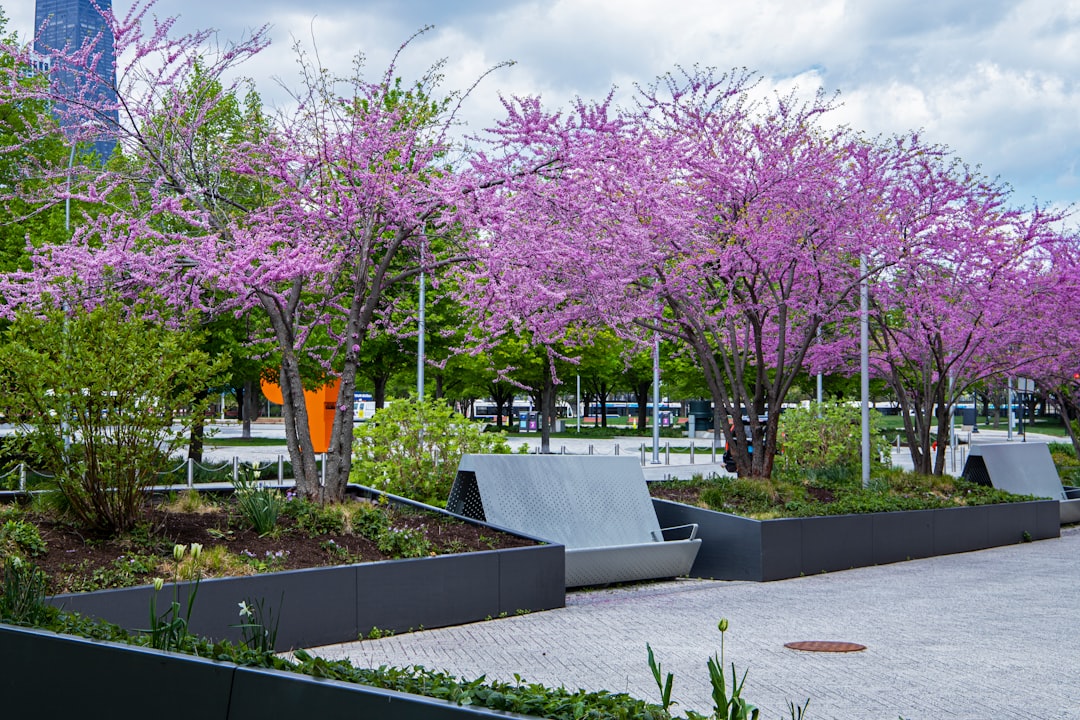 Fairmont IL Passport Guide: Steps, Facilities, Renewals