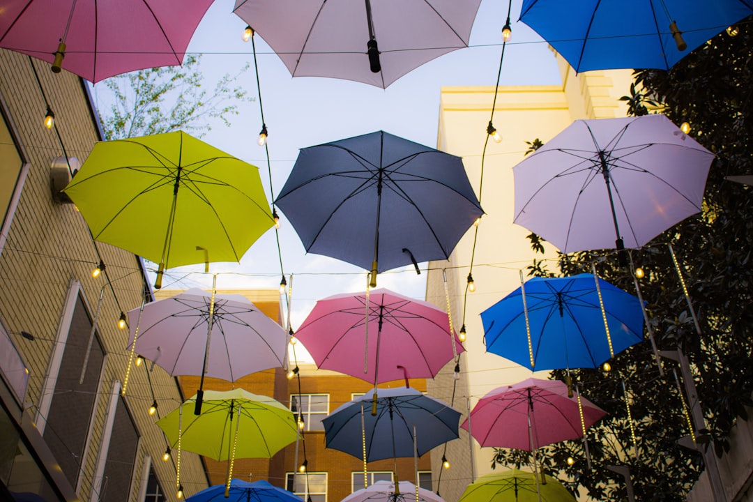 Fairview TN Passport Guide: Steps, Facilities, Timelines