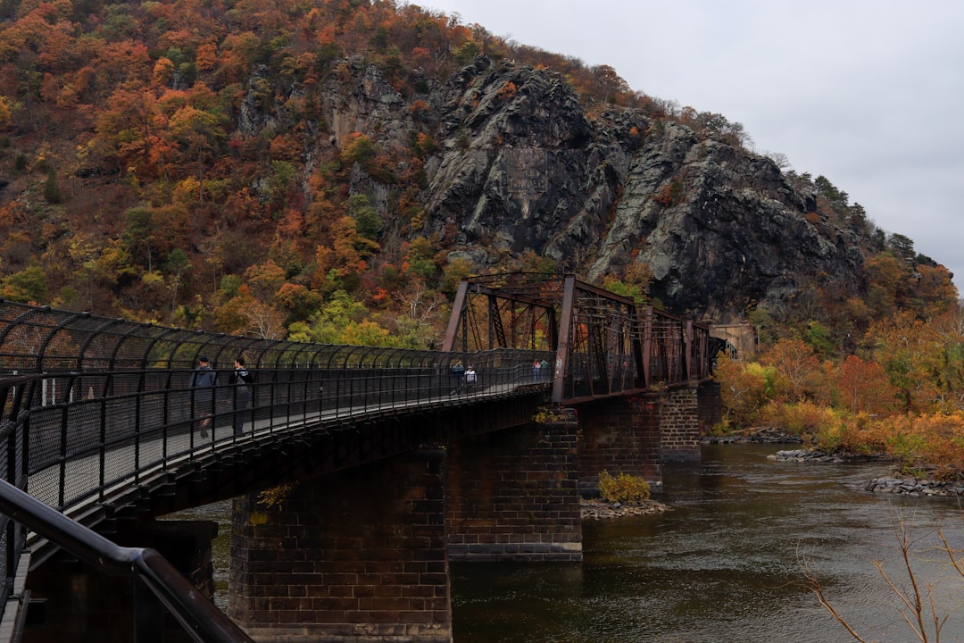 Fairview, WV Passport Guide: Forms, Steps & Local Facilities