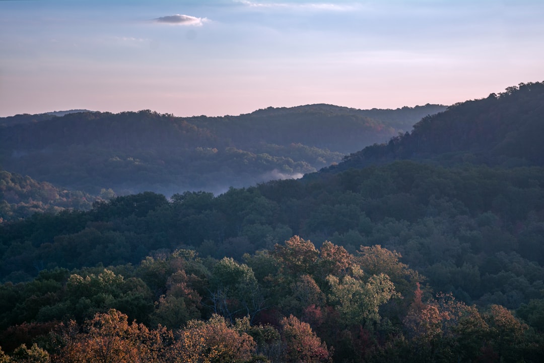 Farmington KY Passport Guide: Steps & Facilities in Mayfield