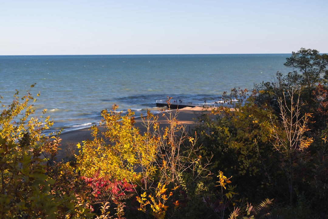 Forestville MI Passport Guide: New, Renewals & Local Facilities