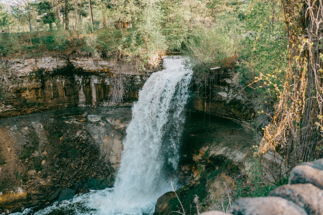 Fort Ripley MN Passport Guide: Forms, Steps & Facilities
