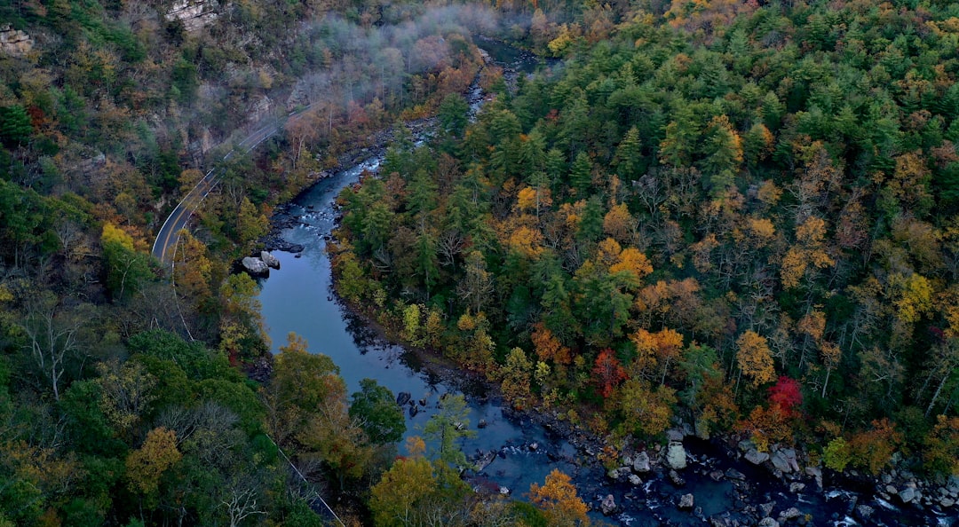 Fries, VA Passport Guide: Apply, Renew & Facilities