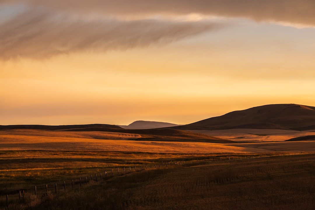 Fromberg MT Passport Guide: Facilities, Forms & Timelines