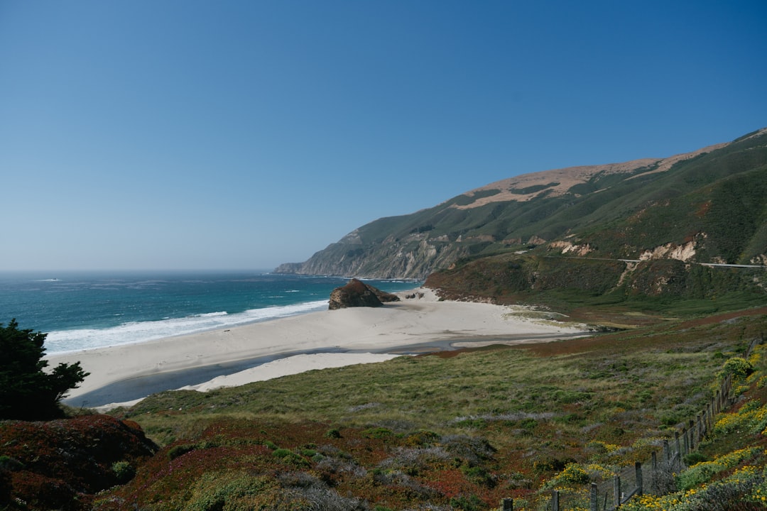 Fruitridge Pocket, CA Passport Guide: Apply, Renew, Replace