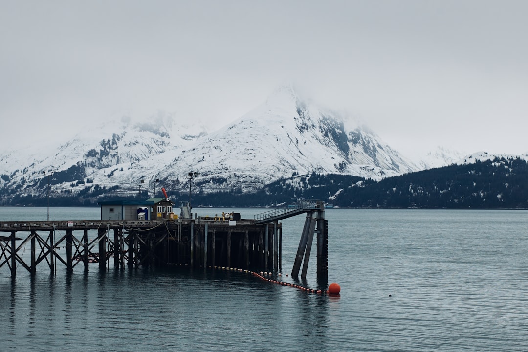 Full Guide to Getting a Passport in Seldovia Village, AK