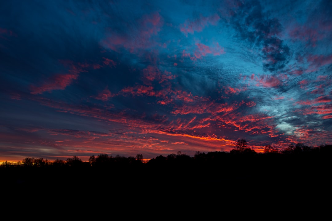 Gainesville VA Passport Guide: Facilities, Forms, Checklists