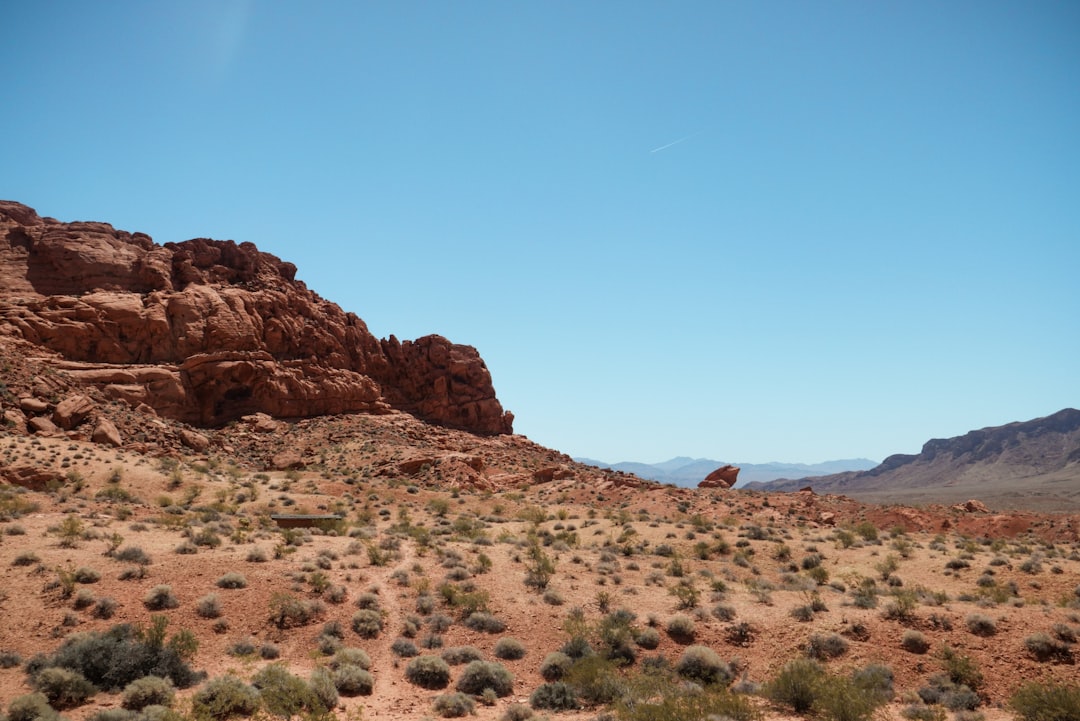 Gardnerville Ranchos NV Passport Guide: Steps, Facilities, Fees