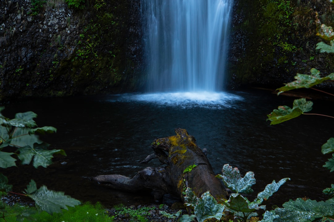 Gaston OR Passport Guide: Nearby Facilities, Forms & Checklists