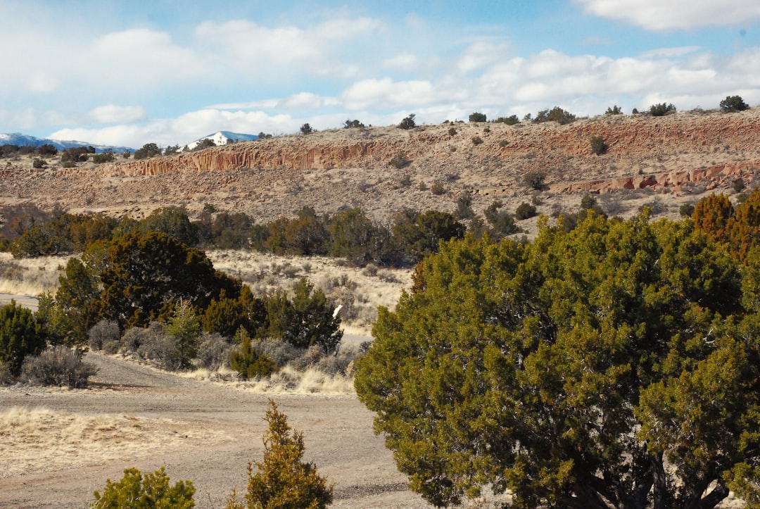 Get a Passport in Ojo Amarillo, NM: Facilities, Fees & Steps