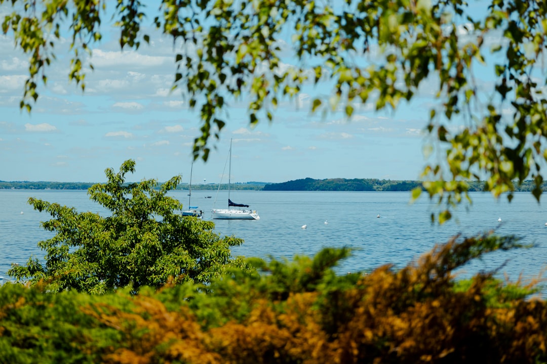 Getting a Passport in Abrams, WI: Facilities, Renewals & Tips