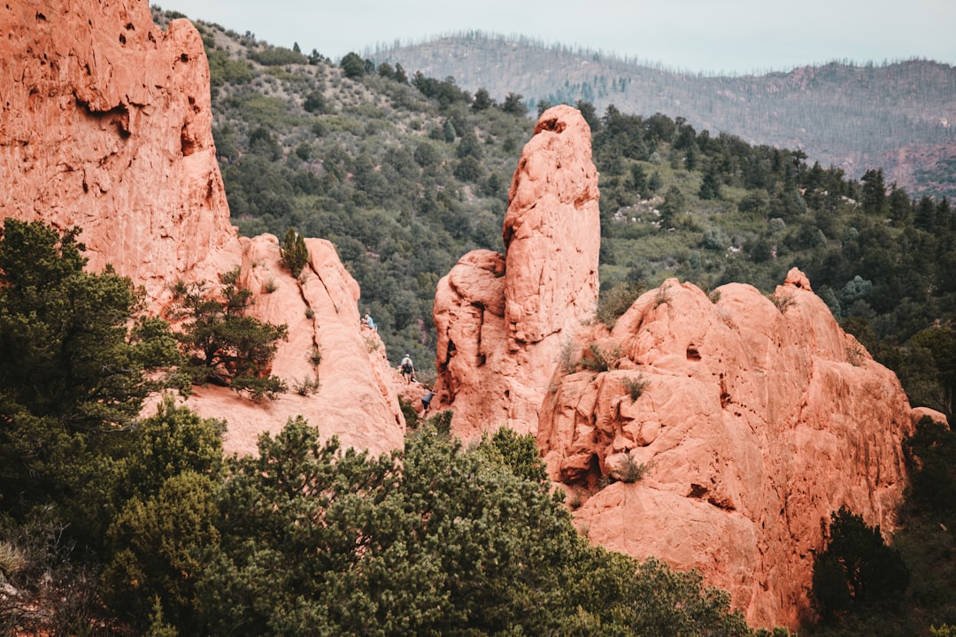 Getting a Passport in Acres Green, CO: Step-by-Step Guide