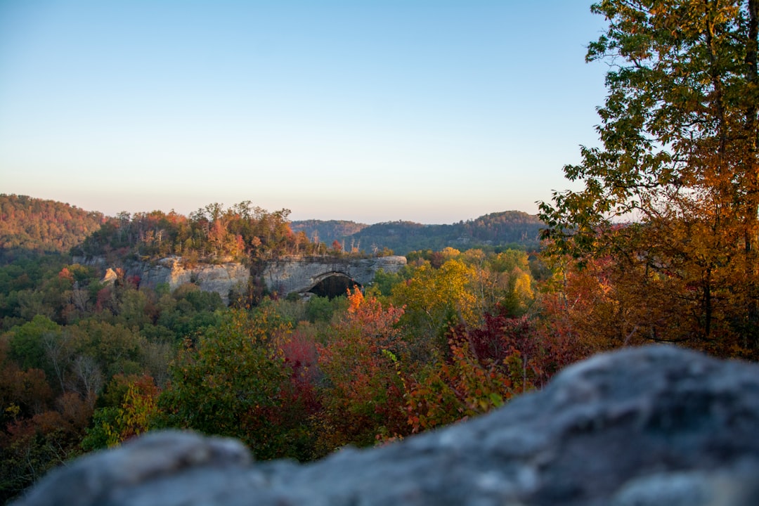 Getting a Passport in Ages, KY: Harlan County Guide & Steps