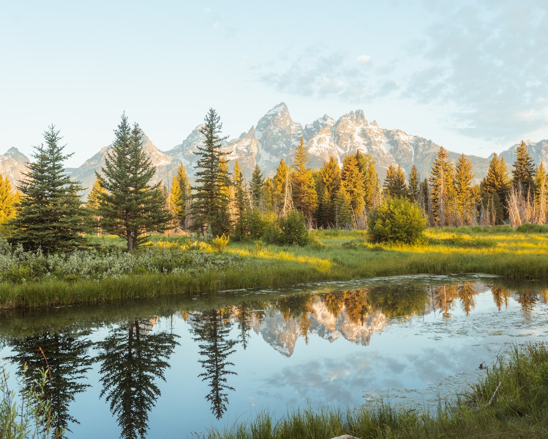 Getting a Passport in Alcova, WY: Step-by-Step Guide