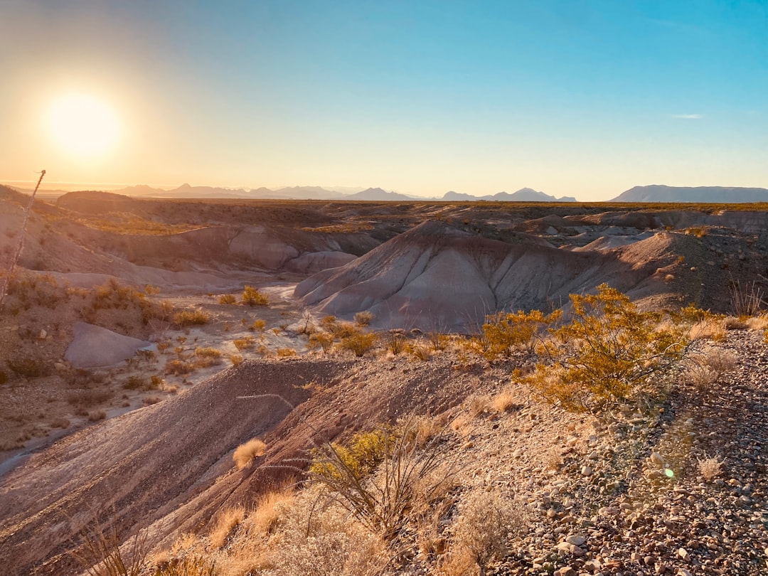Getting a Passport in Alice, TX: Steps, Facilities & Tips