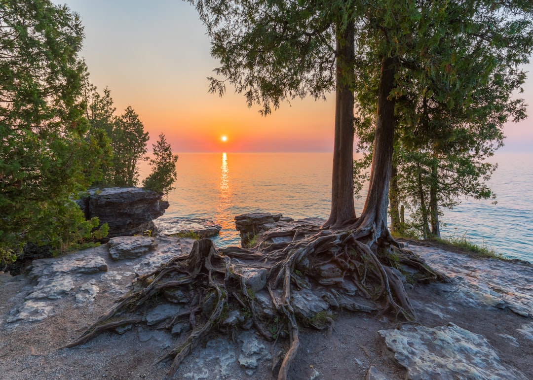 Getting a Passport in Alto, WI: Forms, Facilities & Checklists