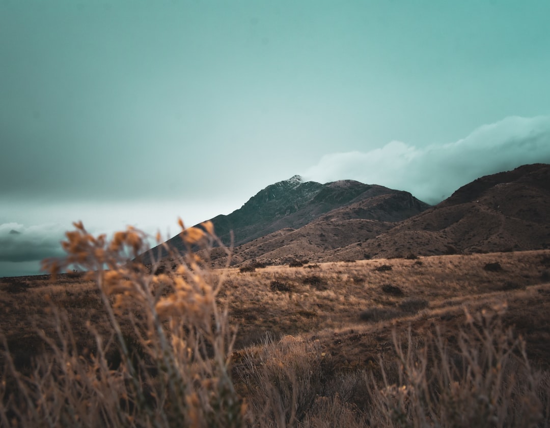 Getting a Passport in Angustura, NM: Steps & Facilities