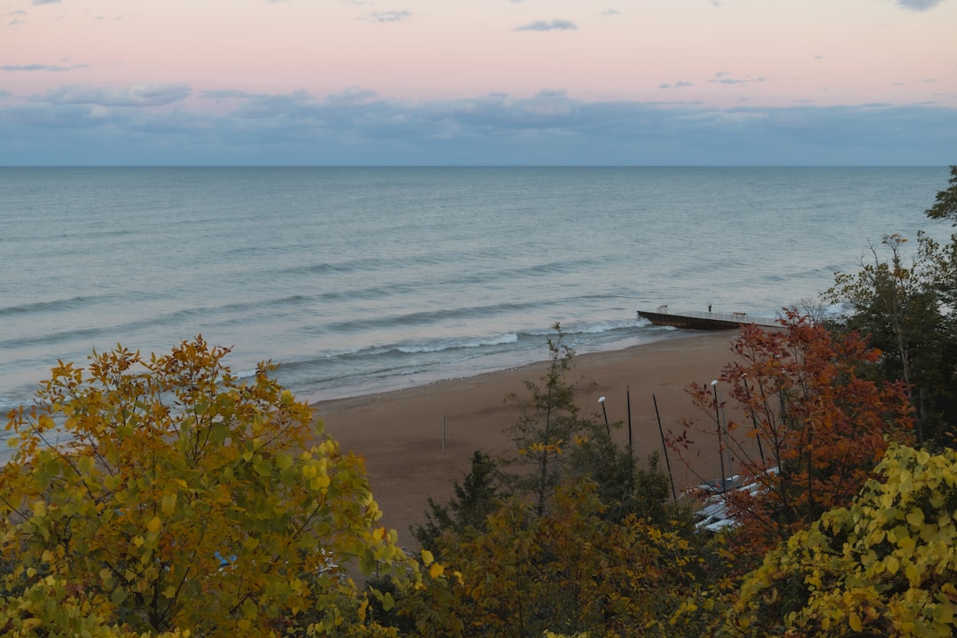 Getting a Passport in Ashley, MI: Steps & Local Facilities