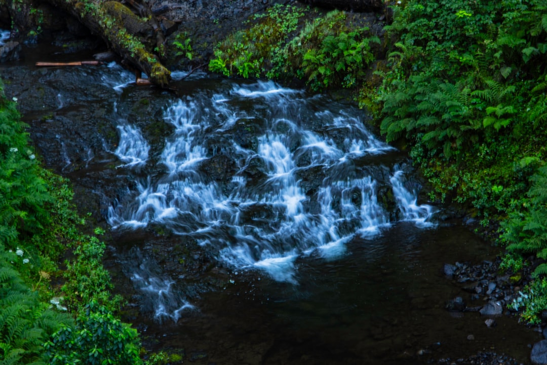Getting a Passport in Aumsville, OR: Facilities, Checklists, Tips