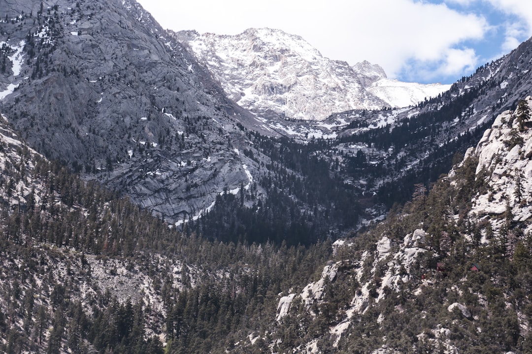 Getting a Passport in Baileyton, AL: Steps, Facilities & Tips