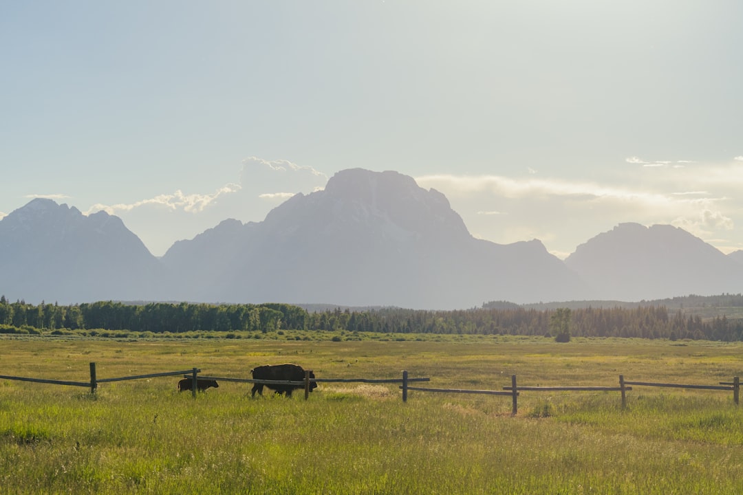 Getting a Passport in Bairoil, WY: Facilities & Tips