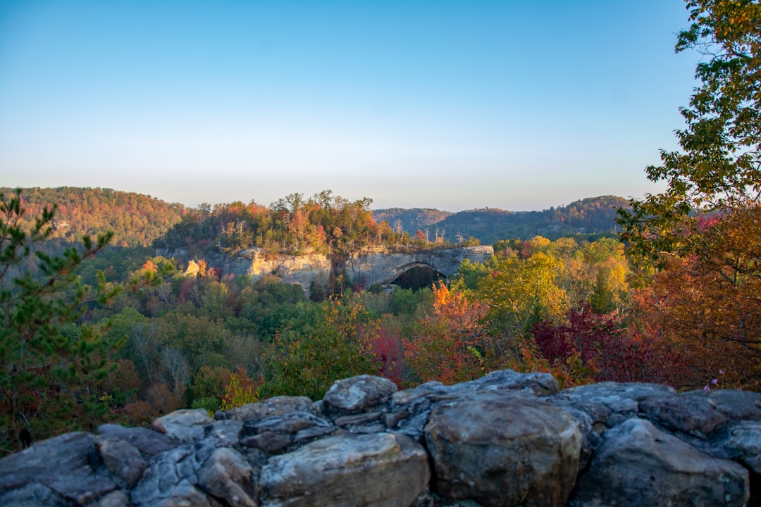 Getting a Passport in Bandana, KY: Step-by-Step Guide