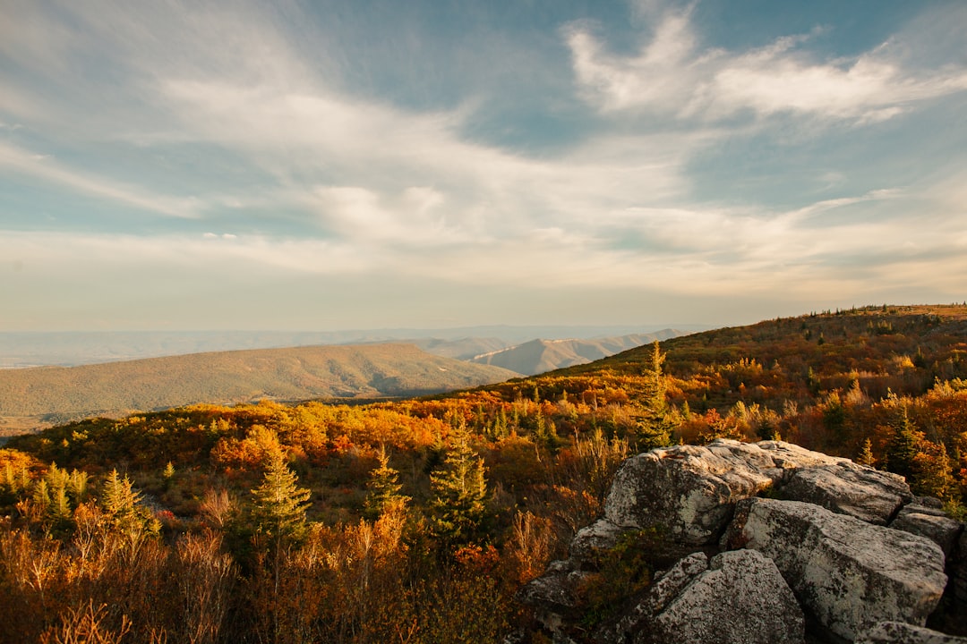 Getting a Passport in Baxter, WV: Step-by-Step Guide