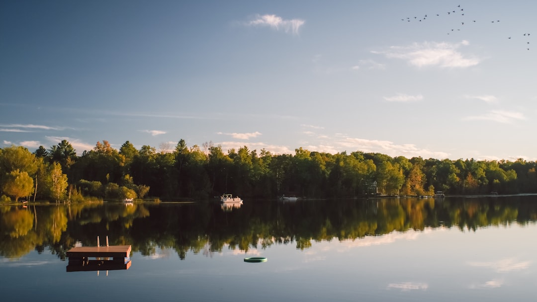 Getting a Passport in Bay View, MI: Facilities, Steps & Tips