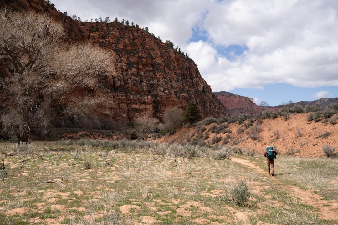 Getting a Passport in Beryl Junction, UT: Complete Guide