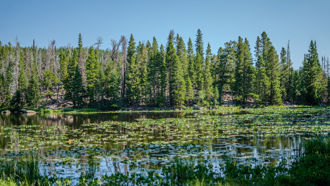 Getting a Passport in Beulah Valley, CO: Facilities & Rural Tips