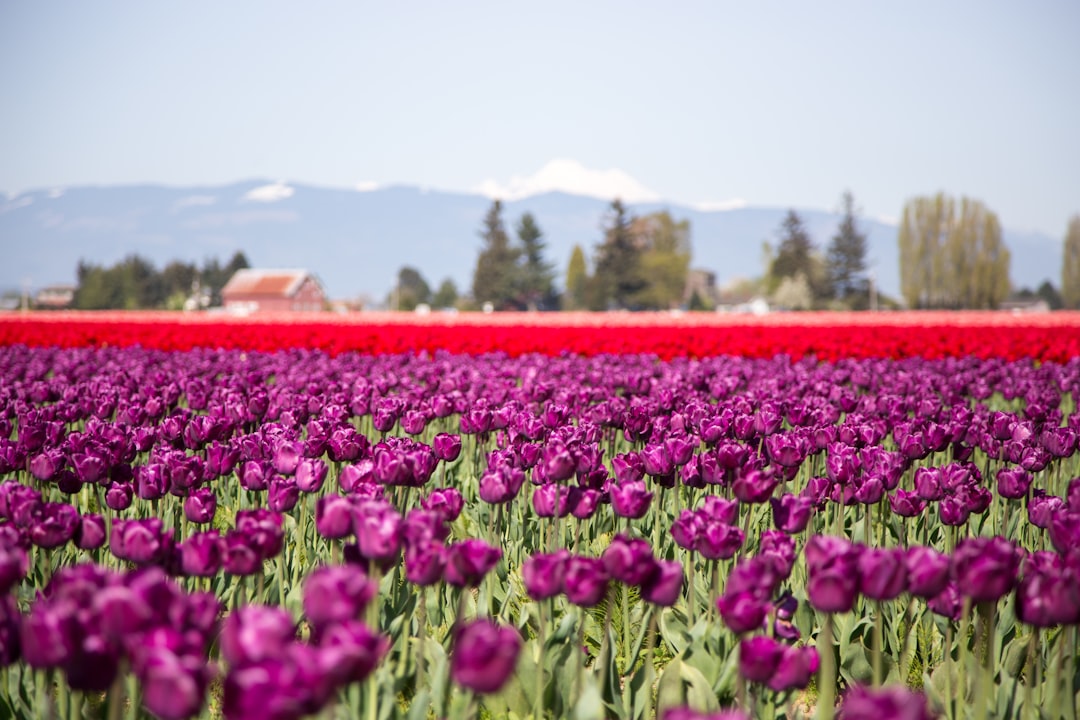 Getting a Passport in Beverly, WA: Facilities & Application Guide