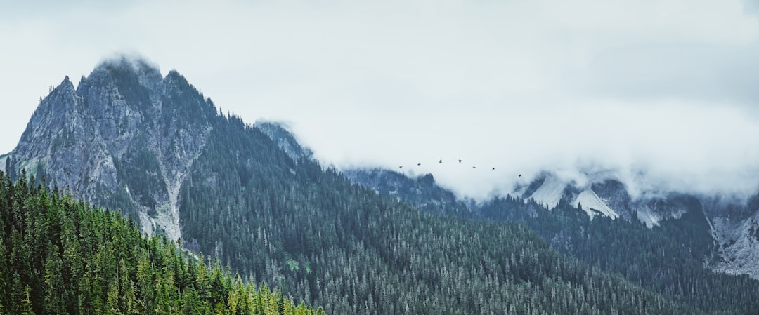 Getting a Passport in Big Stone Gap, VA: Local Guide & Steps