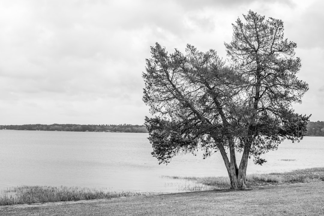 Getting a Passport in Bloomburg, TX: Step-by-Step Guide