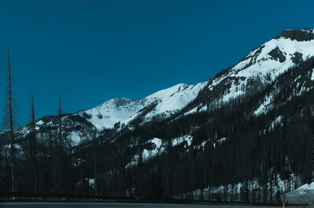 Getting a Passport in Blue River, CO: Steps & Nearby Facilities