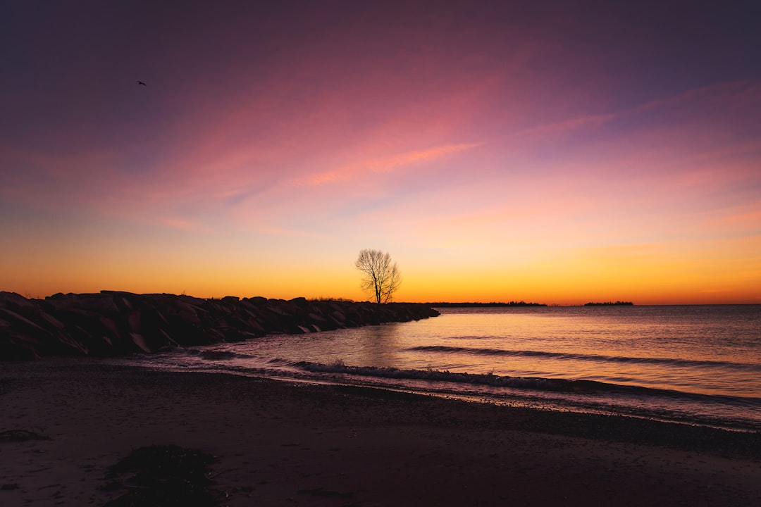 Getting a Passport in Bohners Lake, WI: Step-by-Step Guide