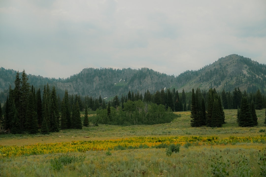 Getting a Passport in Boise, ID: First-Time & Renewal Guide