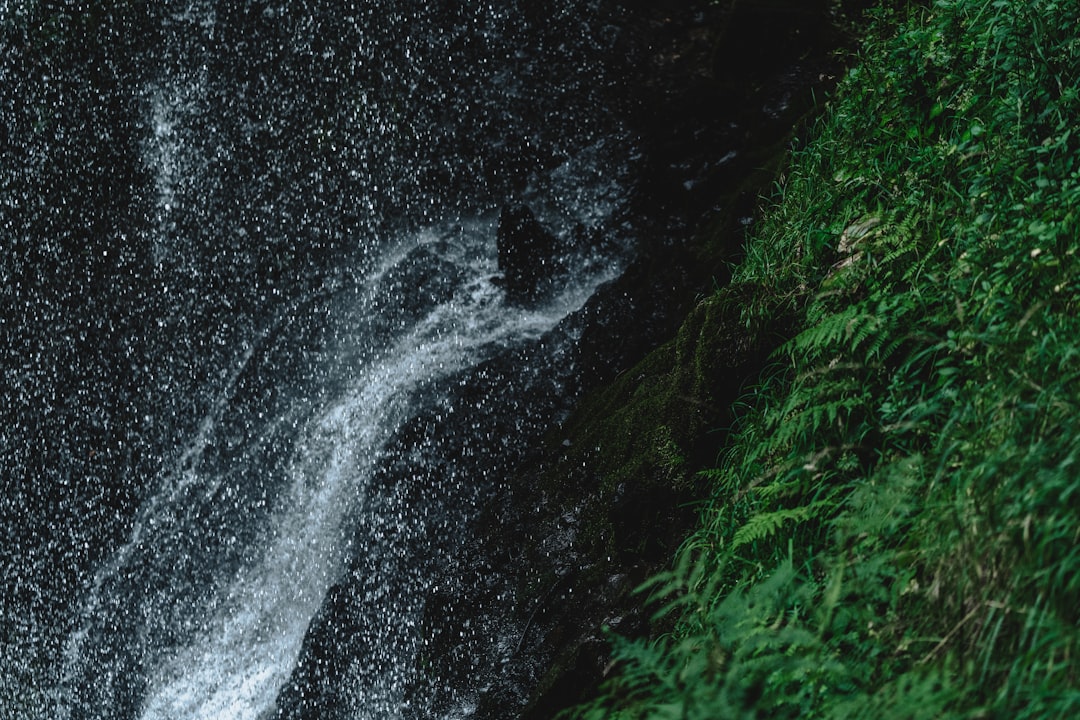 Getting a Passport in Boring, OR: Clackamas County Guide