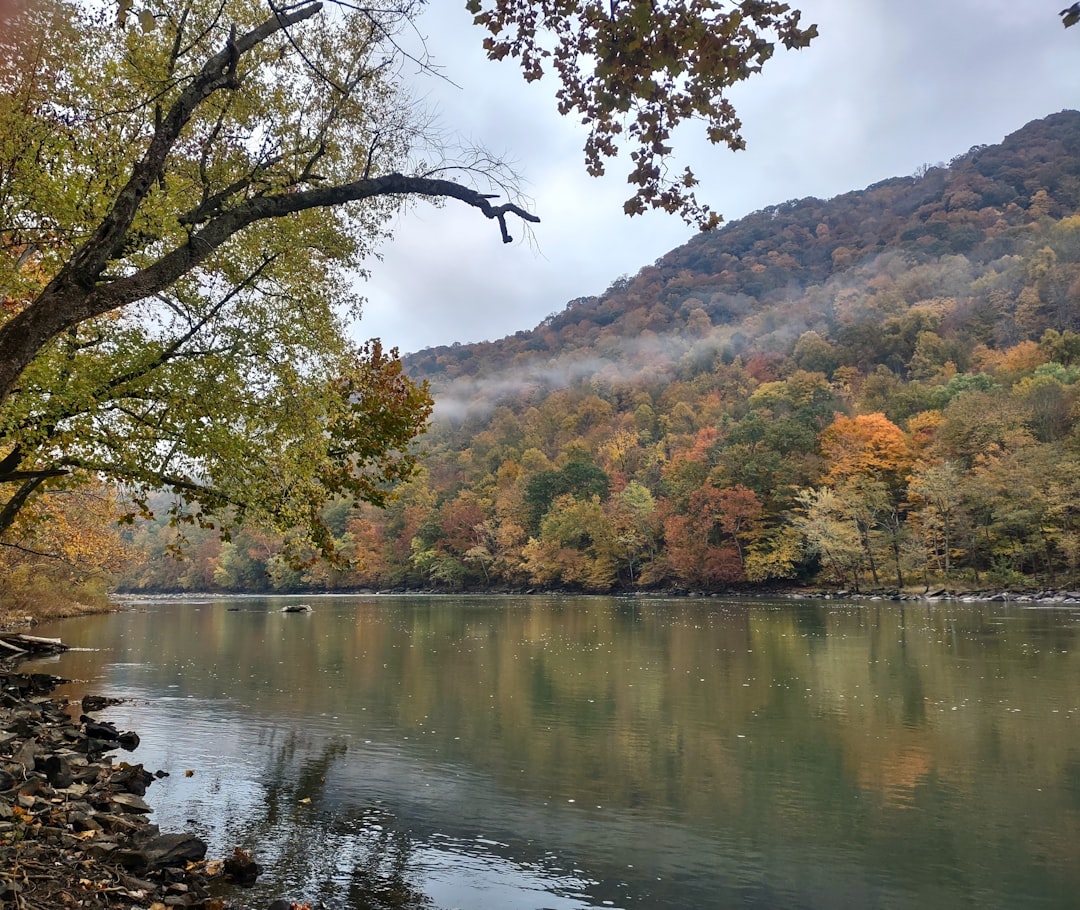 Getting a Passport in Brandonville WV: Facilities Steps Tips