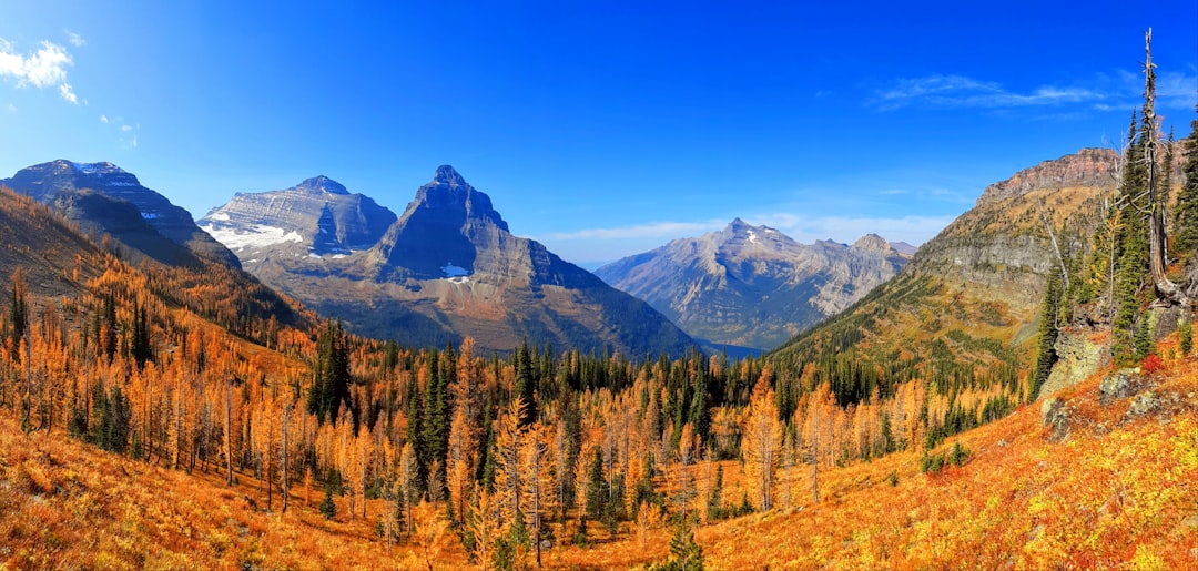 Getting a Passport in Brockton, MT: Step-by-Step Guide