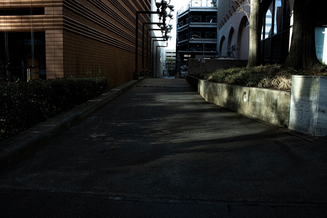 Getting a Passport in Brogden, NC: Steps, Facilities & Tips