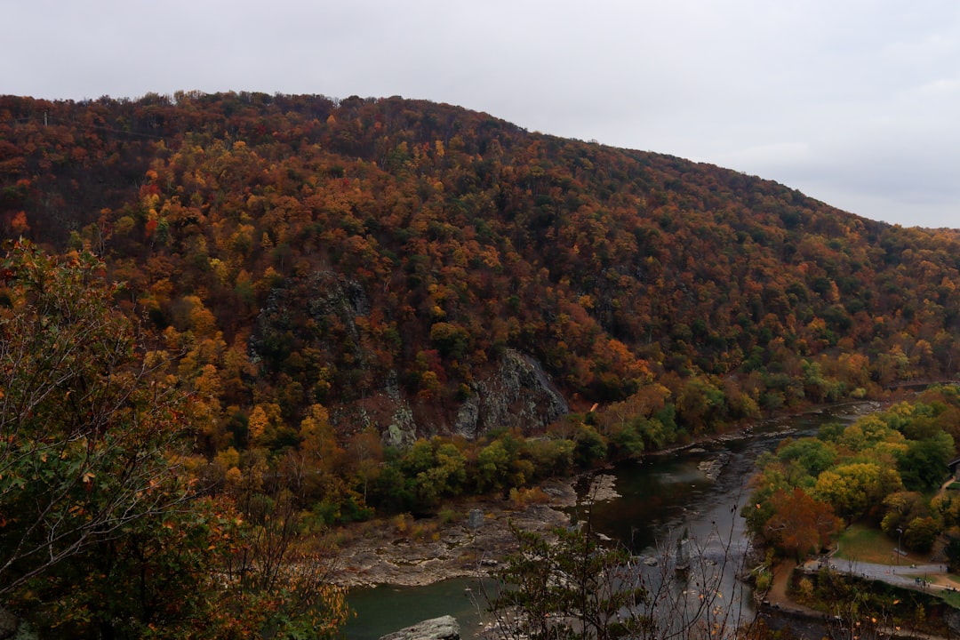 Getting a Passport in Bruceton Mills, WV: Step-by-Step Guide