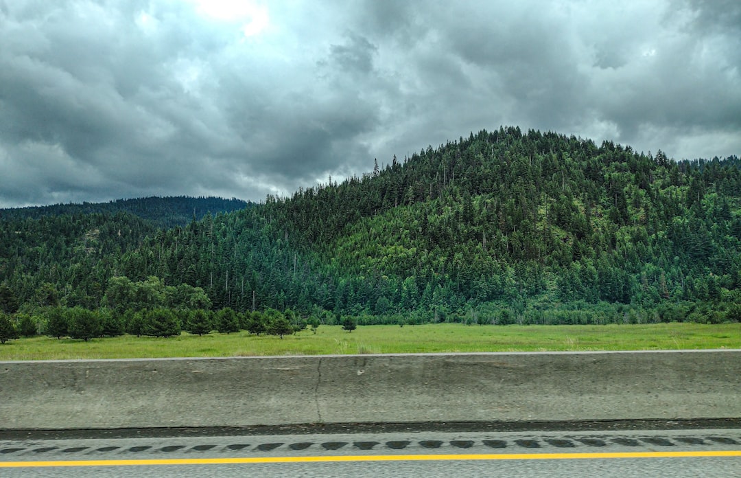 Getting a Passport in Buhl ID: Facilities, Steps, Tips 2024