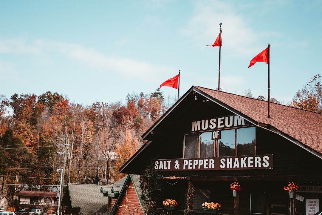Getting a Passport in Burlison, TN: Facilities, Forms & Tips