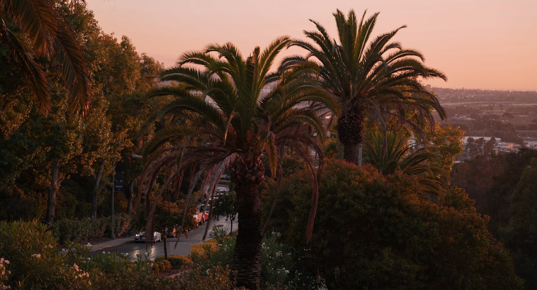 Getting a Passport in California Pines, CA: Alturas Guide