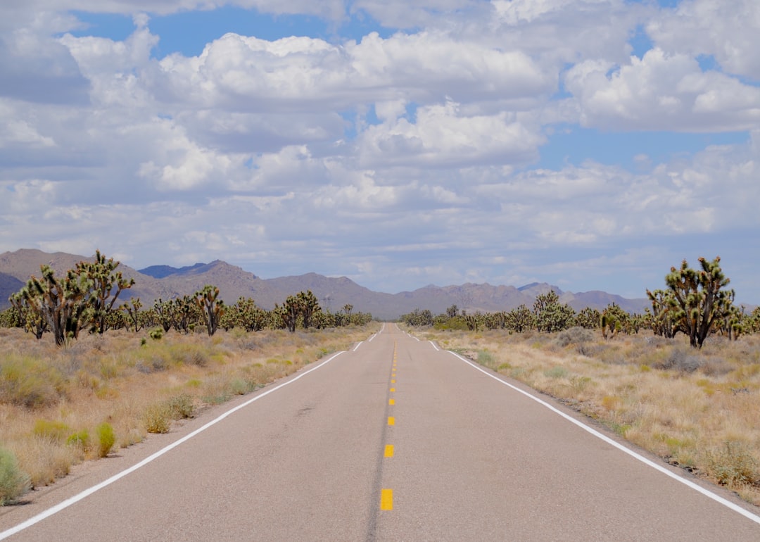 Getting a Passport in Calpine, CA: Steps & Facilities