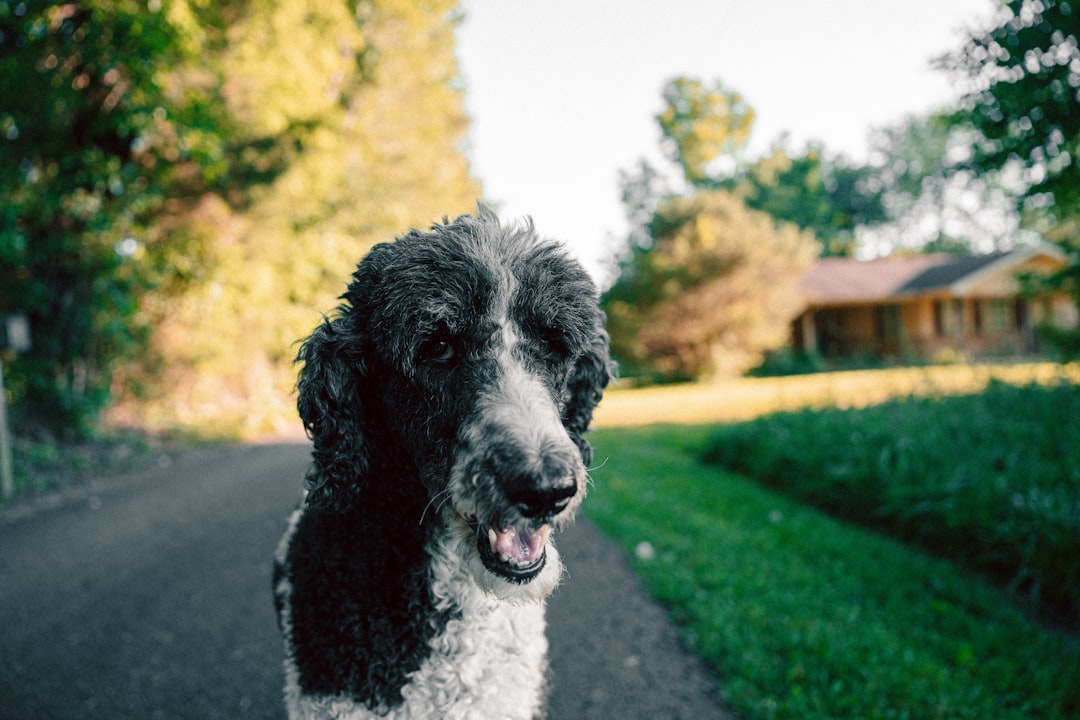 Getting a Passport in Campbellsville, KY: Steps & Facilities