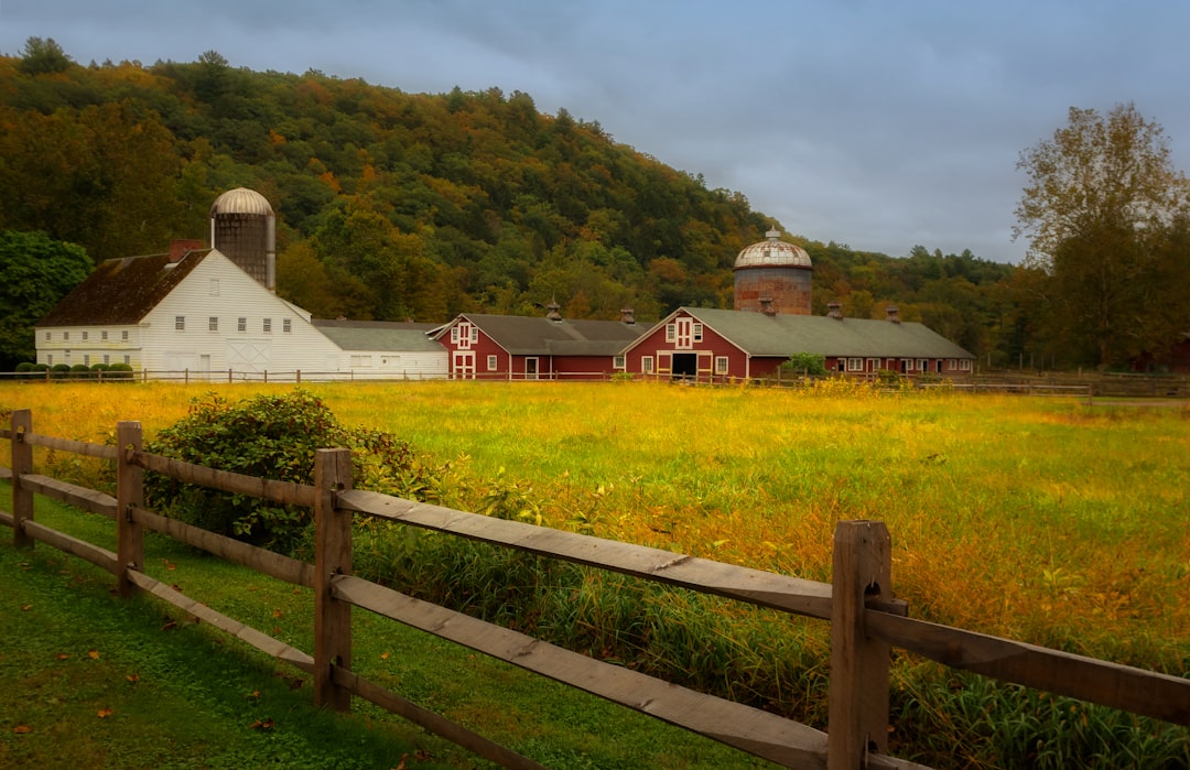 Getting a Passport in Candlewood Knolls, CT: Step-by-Step Guide